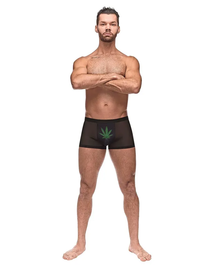 Male Power Private Screening Micro Mesh Modal Pot Leaf Black XL Anal