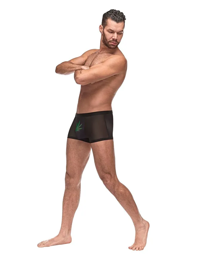Male Power Private Screening Micro Mesh & Modal Pot Leaf Black XL | Anal